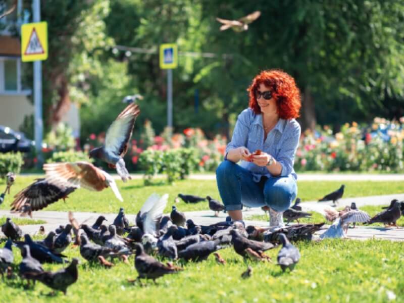 Phuket​ Bird​ Park